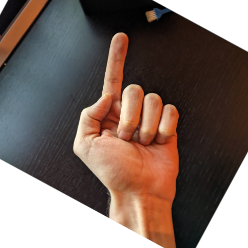 content/Chinese-Hand-Gestures/1.png