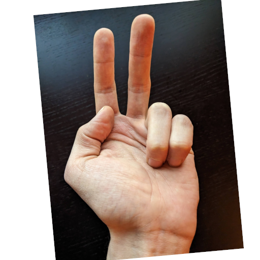 content/Chinese-Hand-Gestures/2.png