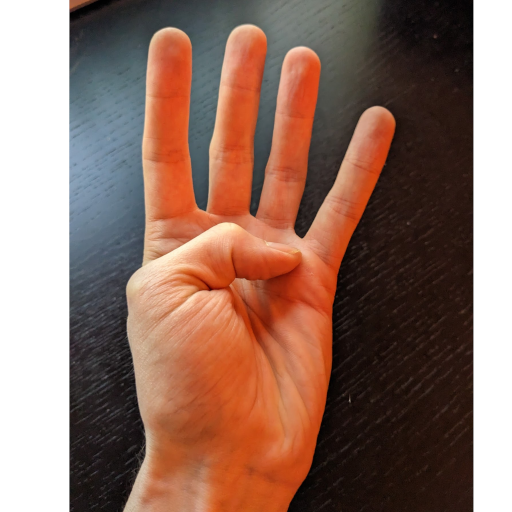 content/Chinese-Hand-Gestures/4.png